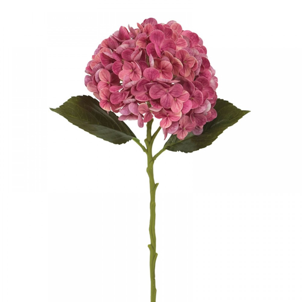Creanga real touch de hortensie în nuanțe somon/fuchsia - Φ17x50cm 24/240KB Creanga real touch de hortensie în nuanțe somon/fuchsia - Φ17x50cm 24/240KB