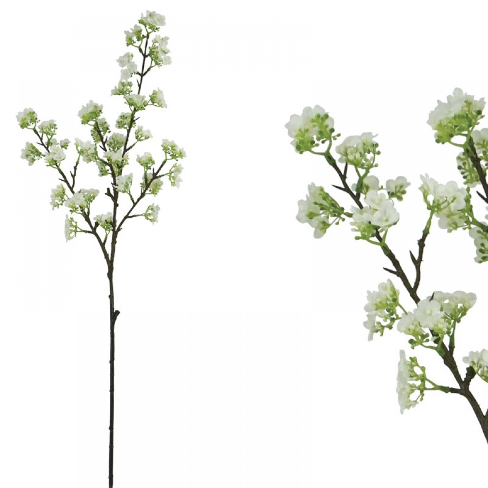 RAMURA CIRES IN FLORI ALBA - H83cm 24/240KB