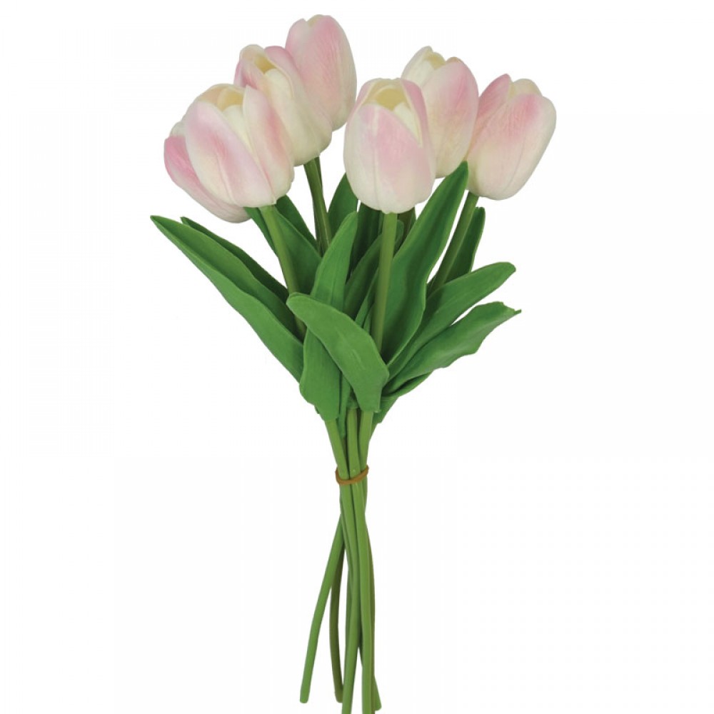 Buchet lalele fuchsia - H34cm 48/288KIB