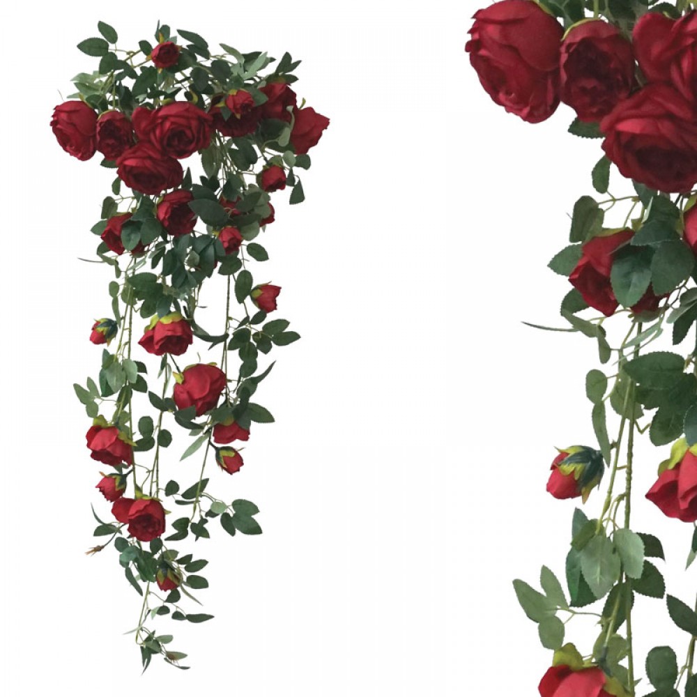 Plante agatatoare Umeraș rădăcină KOKKINES ANTARAGULE - H100cm 24/120KG