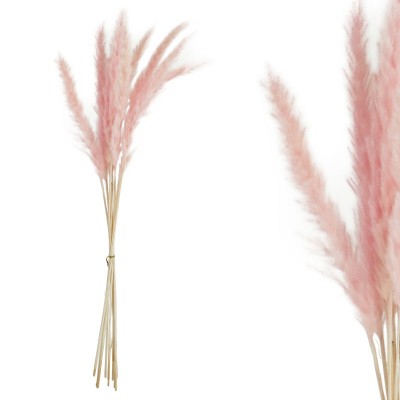 RAMURI PAMPAS CRENGĂ DE TRANDAFIRI USCAT ~10BUC/CURCHET - Y70-75cm 1/300KIB