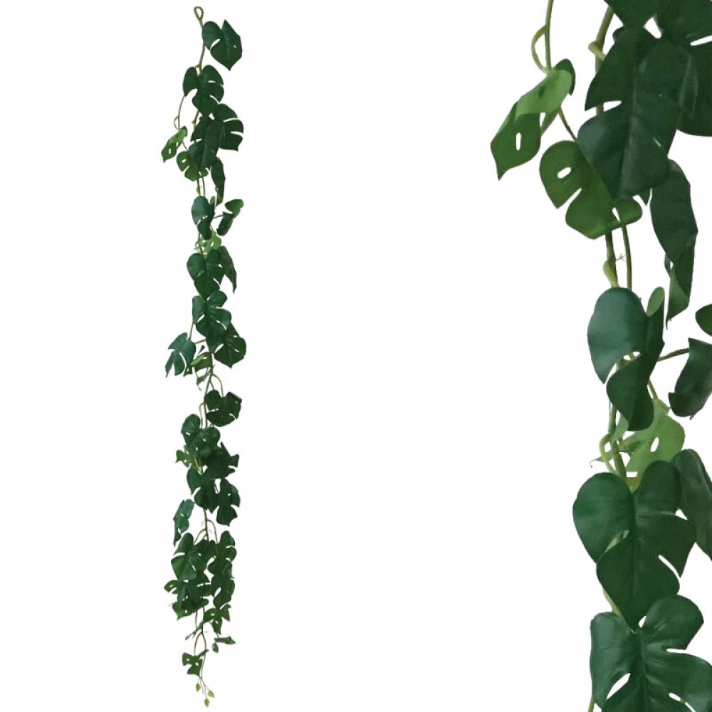 Ghirlanda monstera verde - H170cm 50/100KG