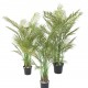 Planta artificiala Areca cu 4 trunchiuri, 125 cm inaltime, 70 cm latime, verde