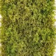 Muschi artificial decorativ mix verde 25x50 cm