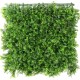 Perete verde mușchi artificial - 50 x 50 cm